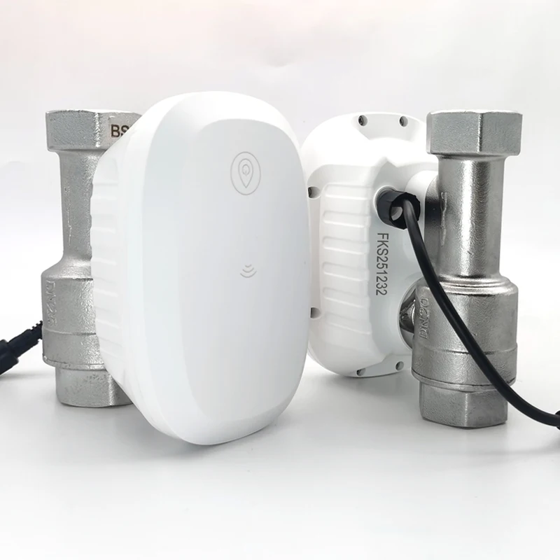 Home Assistant Tuya - Valvola dell'Acqua con Controllo WiFi Intelligente,