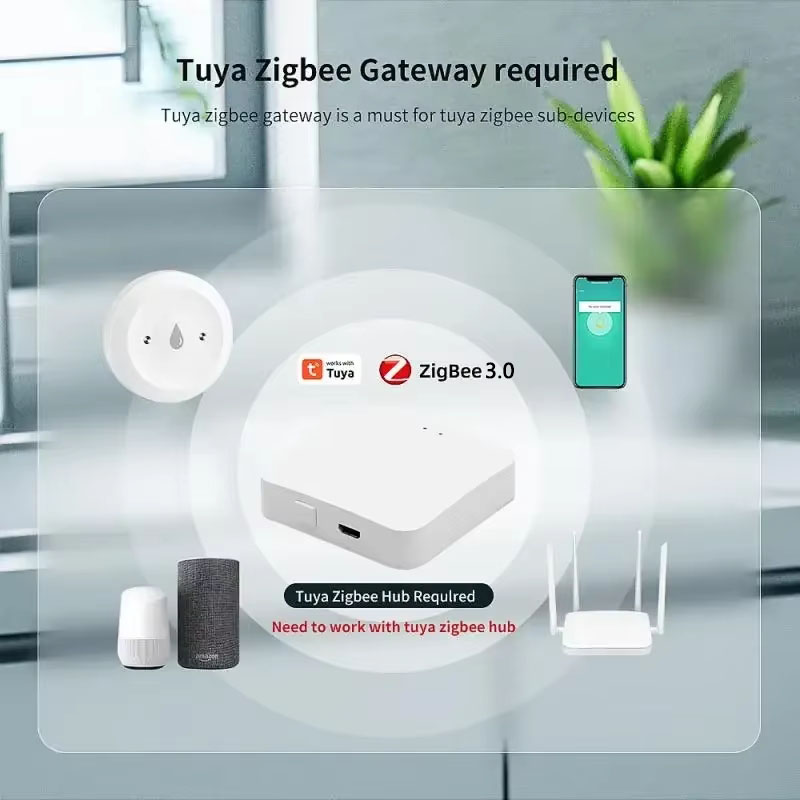 Sensore Intelligente di Perdit - Home Assistant Tuya recensione e prezzo